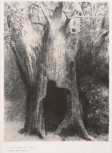 ｢聖アントワーヌの誘惑｣第三集 Ⅸ. …私は孤独のうちに沈んだ。私はうしろの木に住んでいたのだ